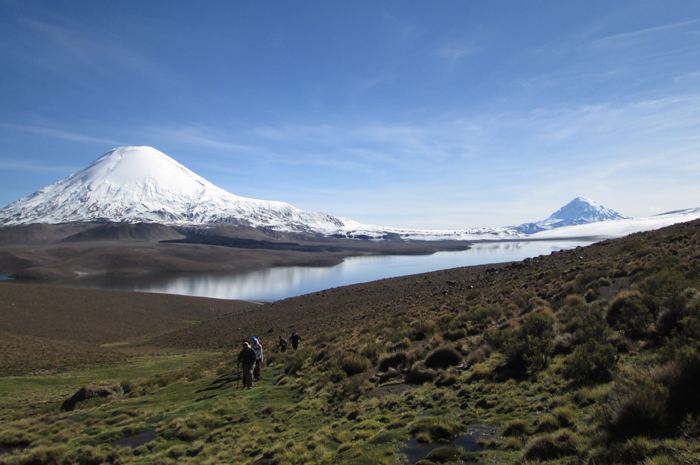 Parinacota from the west after a fresh snowfall.